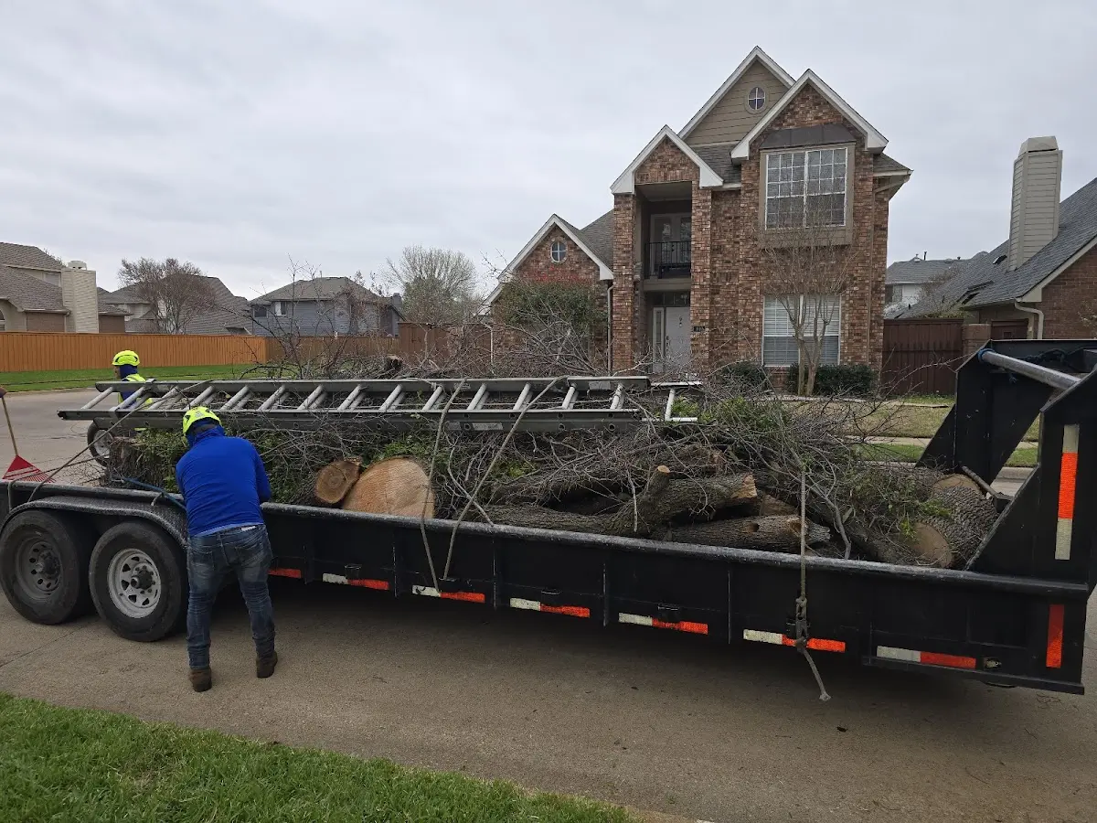 Expert Tree Removal with proper safety equipment in Hawarden
